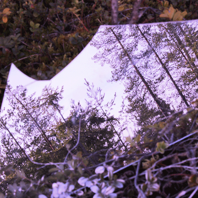 dancer installation GIF