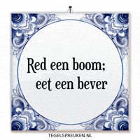 Boom Humor GIF by Tegelspreuken.nl