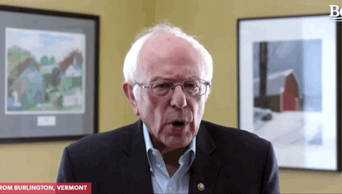 Bernie Sanders GIF by Election 2020