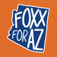 Vote Democrats GIF by Creative Courage