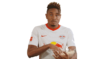 Football Lol Sticker by RB Leipzig