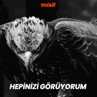 Tammyabraham GIF by Misli