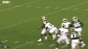 Usf Juke GIF by SoFloBulls