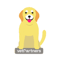 Vetmed Olddog Sticker by VetPartners
