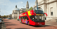 Travel Bus GIF by EatSleep Media