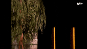 Ernesto Sevilla Show GIF by Movistar Plus+