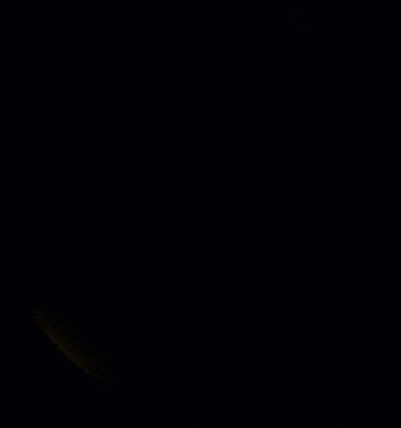 rochesterlancers rochester masl lancers 585 GIF