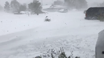Blizzard Hits Oklahoma Panhandle