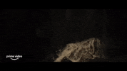 ScribeMag drama action prime video survival GIF