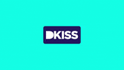 Reformas GIF by DKISS