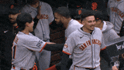 Lets Go Wow GIF by San Francisco Giants