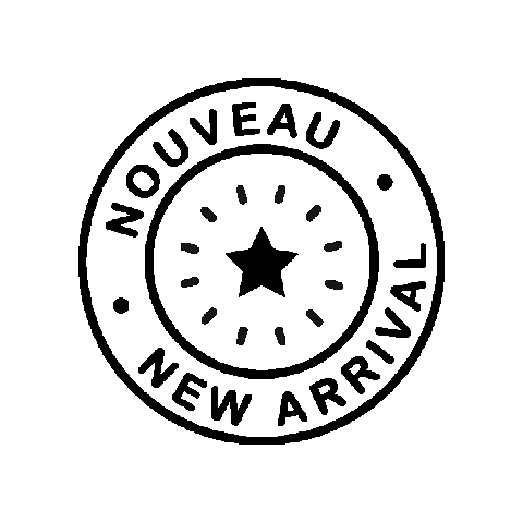 pierrechavin giphygifmaker new star nouveau Sticker