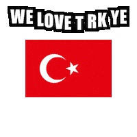 V8LTT turkiye türkiye we love türkiye Sticker