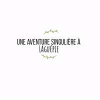 Causse-Gorges laguepie tourisle GIF