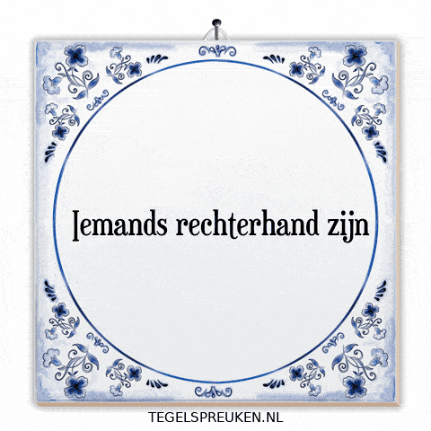 Team Nl GIF by Tegelspreuken.nl