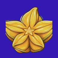 Comida Fruit GIF