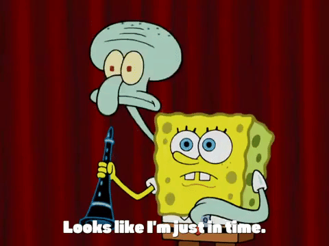 season 4 GIF by SpongeBob SquarePants