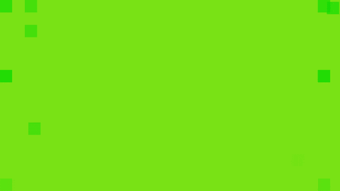 Football Gameday GIF by Seattle Seahawks