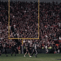 South Carolina Football GIF by Gamecock Athletics