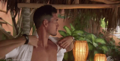 Season 3 Abc GIF by Bachelor in Paradise