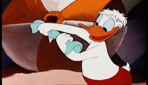 donald duck bee at the beach GIF