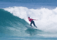water sports surfing GIF by World Surf League