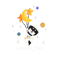 Lucky 13 Space Sticker