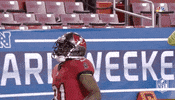 National Football League GIF by NFL