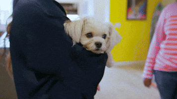 Size Does Not Matter