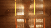 Softball Tennessee GIF by NCAA Championships