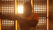 Softball Tennessee GIF by NCAA Championships