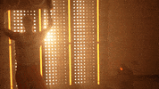 Softball Tennessee GIF by NCAA Championships