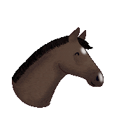 White Horse Sticker by winterlichtmalerei