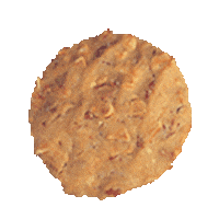 Fortunediwali Sticker by Fortune Foods