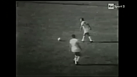 robertocartaf1f8 giphygifmaker GIF