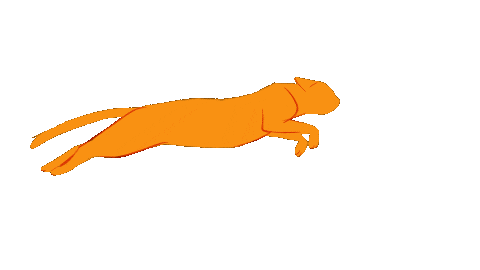 Cat Sticker