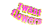 pink text Sticker
