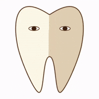 Tooth Whitening GIF by dental_sozai