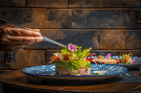 GIF by Hotels G