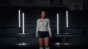 Georgia Tech Volleyball GIF by Georgia Tech Yellow Jackets
