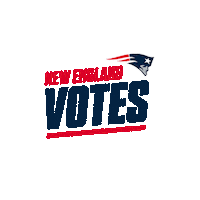 Election 2020 Reaction Sticker by New England Patriots