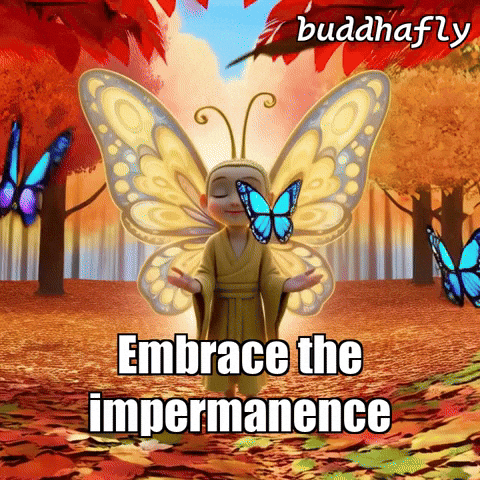 Dance Peace GIF by BuddhaFlyJourney