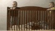 baby funny GIF