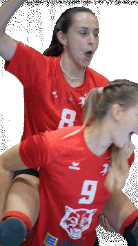 Volleyball Svf Sticker by Rotes Rudel