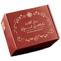 Christmas Present Love Sticker by signaturemarket