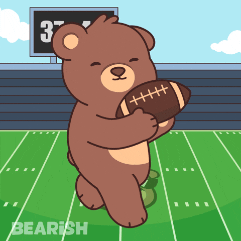 Super Bowl Win GIF by BEARISH
