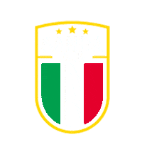 Martial Arts Italy Sticker by Champion Training Sanda Martial Art