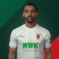 France Bundesliga GIF by FC Augsburg 1907