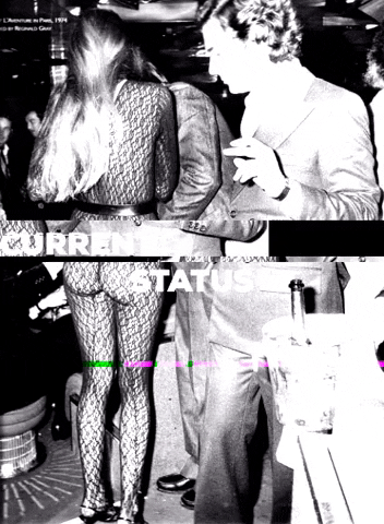 talentedmrfox giphygifmaker GIF