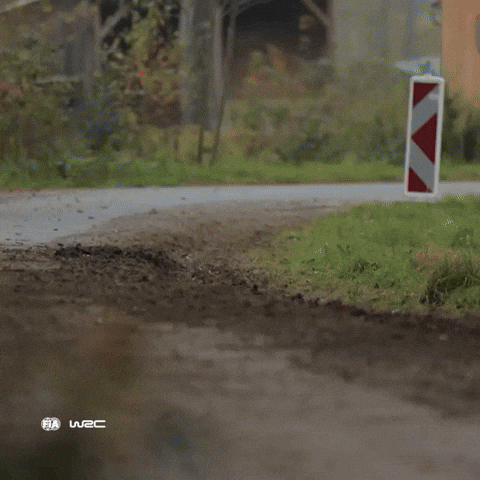 Racing Driving GIF by FIA World Rally Championship